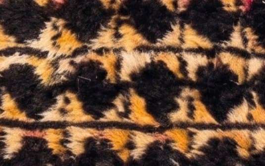 The wool of Shield, close