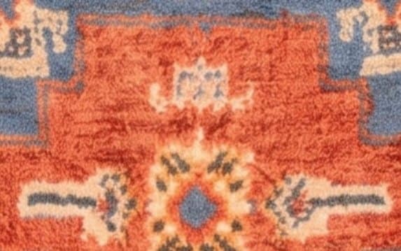 The wool of Talisman, close